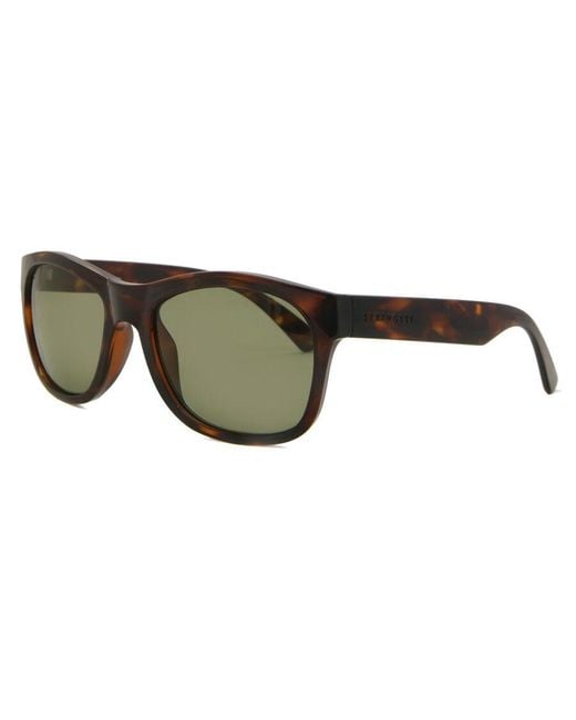 Serengeti Green Chandler Polarized Ss557001