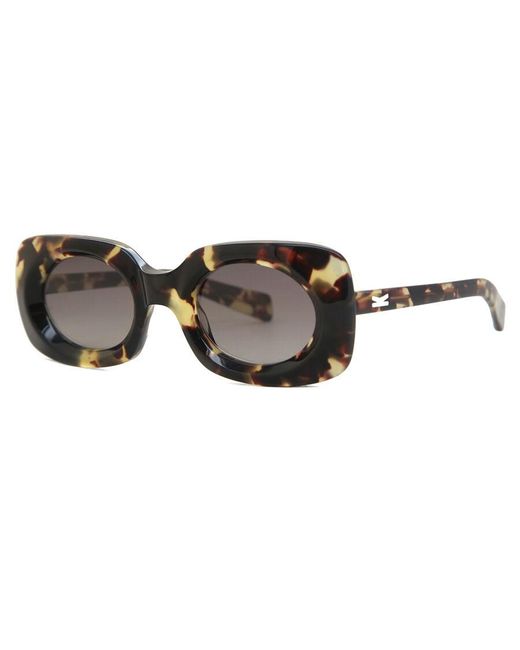 Kaleos Eyehunters Black Franklin C5