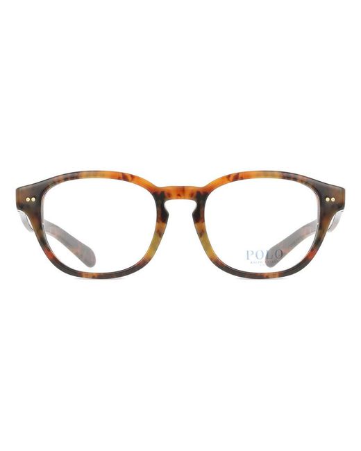 Polo Ralph Lauren Black Ph2261U 5017 for men