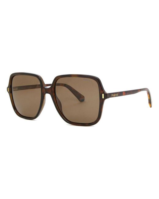 Polaroid Black Pld 6219/S Polarized 086/Sp