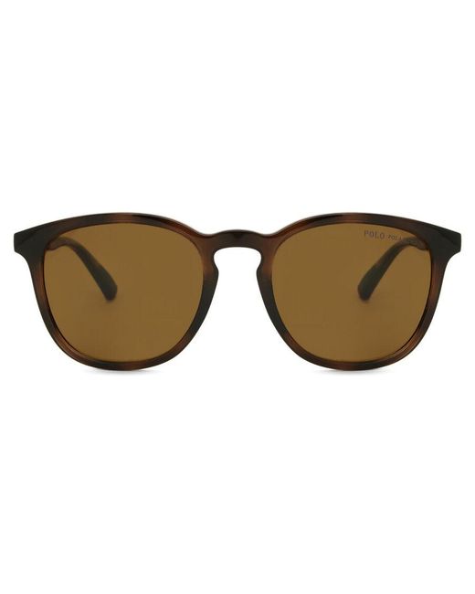 Polo Ralph Lauren Brown Ph4222U Polarized 500383 for men