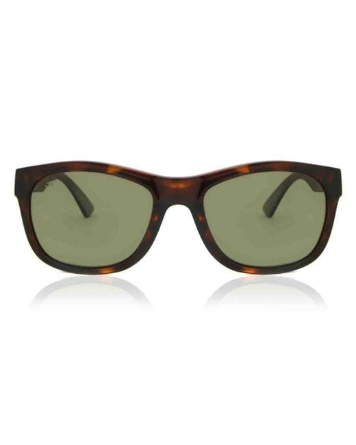 Serengeti Green Chandler Polarized Ss557001