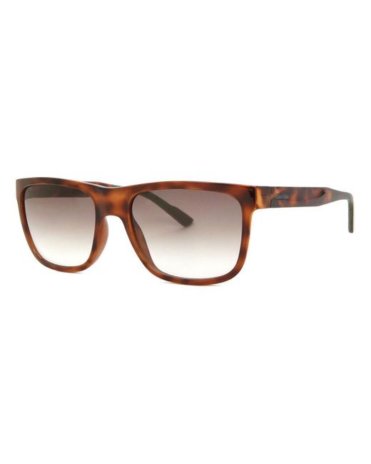 Calvin Klein Black Ck21531S 220