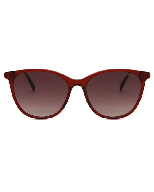 Levi's Brown Lv 5006/S C9A/3X