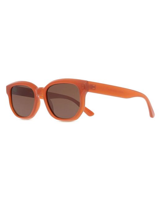 SmartBuy Collection Brown Lmnt Veda Hp24671-1