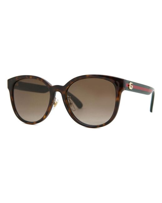 Gucci Black Round Acetate Sunglasses