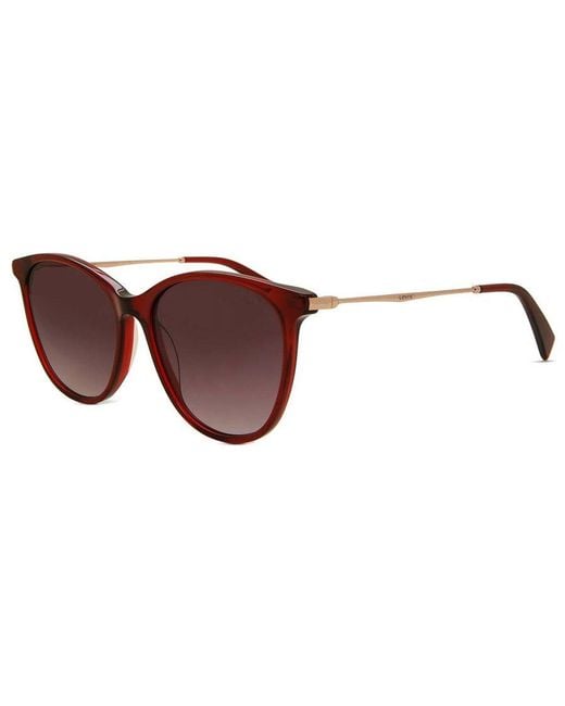 Levi's Brown Lv 5006/S C9A/3X