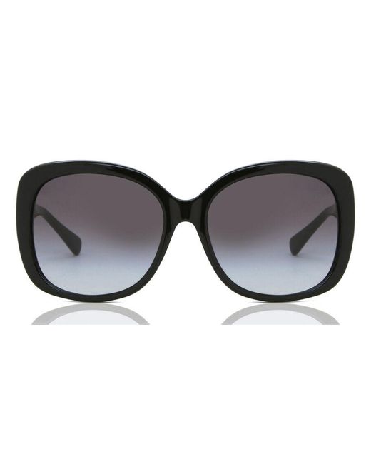 COACH Black Hc8158 Sunglasses
