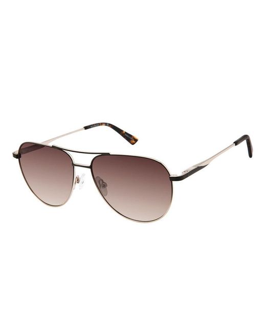Ann Taylor Black Atp933 Polarized C01