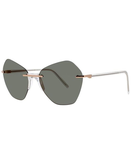 Andy Wolf Gray Calla F