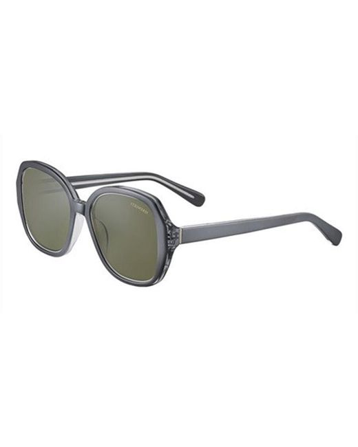 Serengeti Black Hayworth Polarized Ss538003