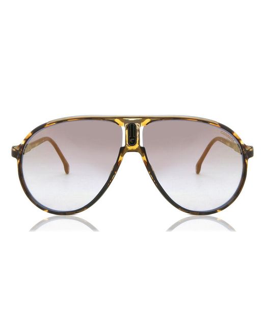Carrera Black Champion65 Wr9/Fq
