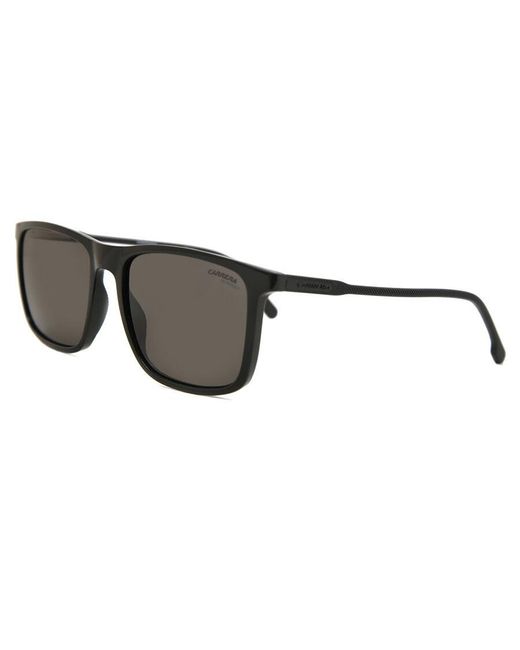 Carrera Black 231/S 807/Ir