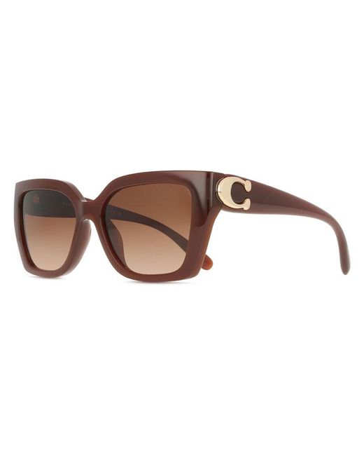 COACH Brown Hc8408U Cw195 584174