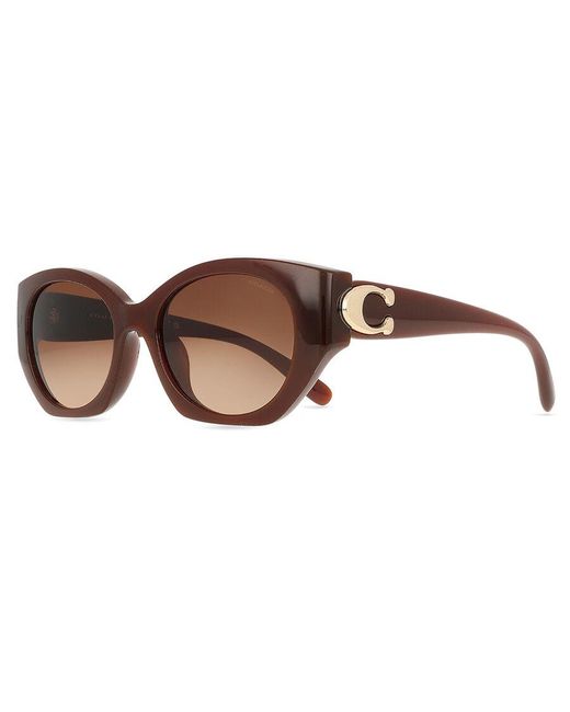 COACH Brown Hc8407U Cw194 584174