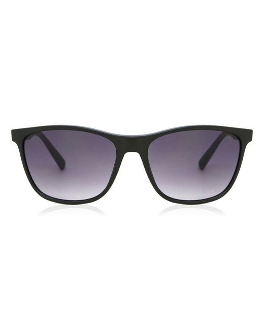 Alpina Black Jaida A8619431 Standard