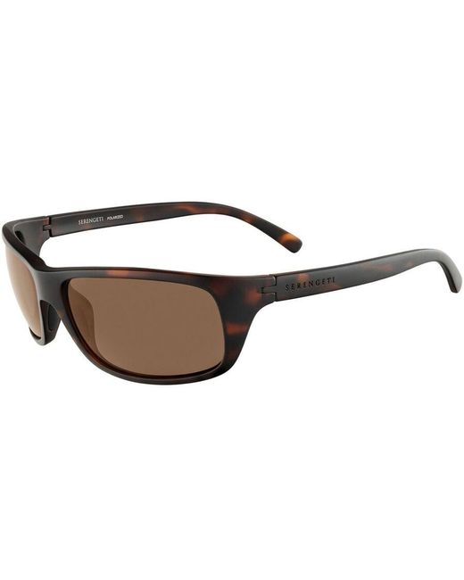 Serengeti Black Bormio Polarized Ss009008