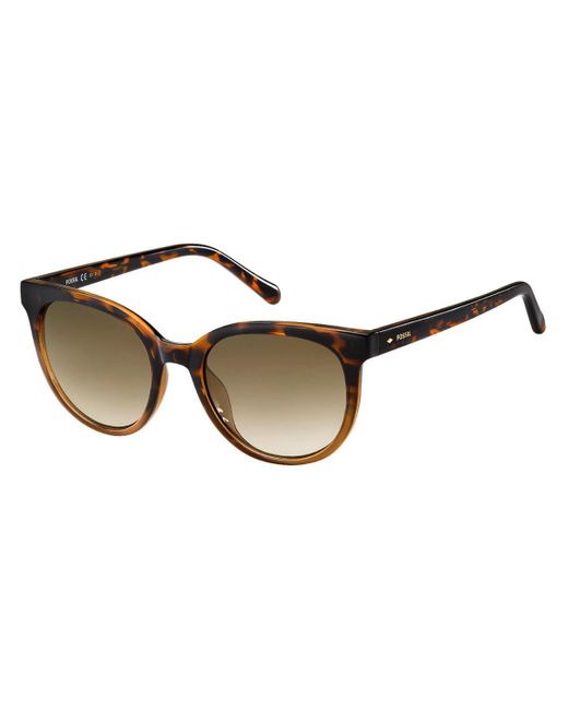 tortoise shell womens sunglasses