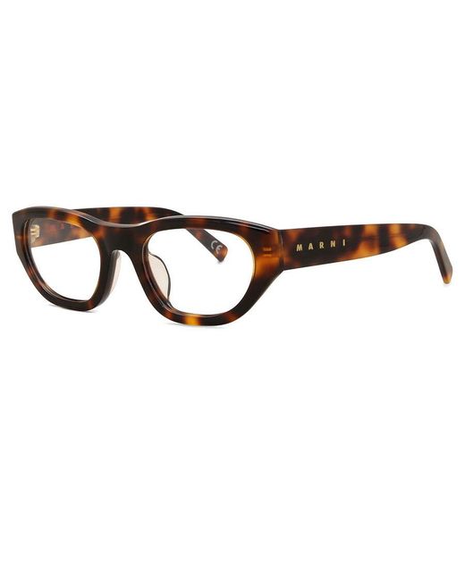 Marni Black Laamu Atoll Classic Havana 7Tp