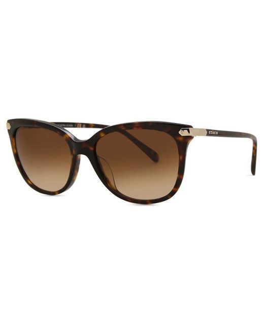 COACH Brown Hc8378U Cl926 512074
