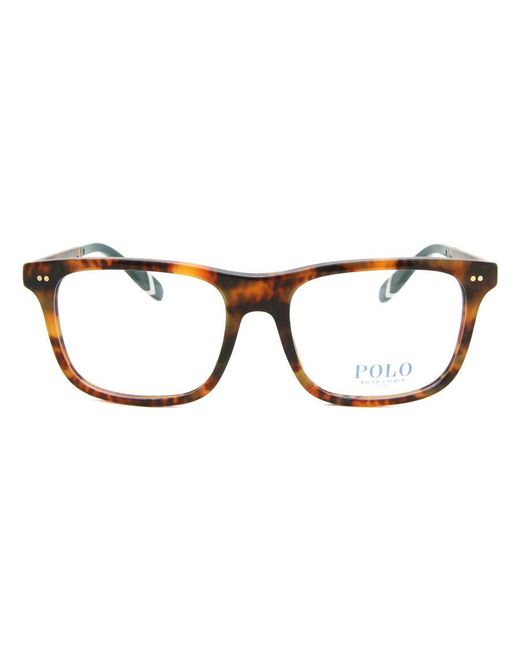 Polo Ralph Lauren Black Ph2270U 5017 for men
