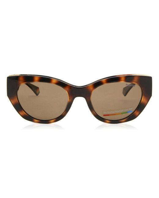 Polaroid Black Pld 6199/S/X Polarized 086/Sp