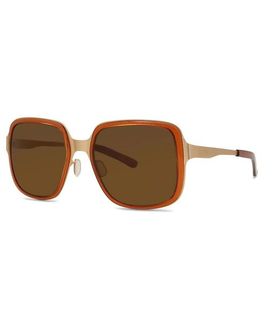 Smith Black Aveline Polarized Etv/Sp