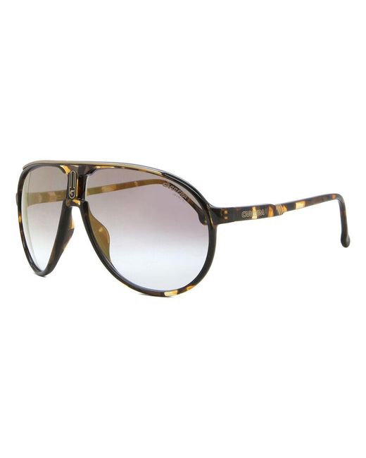 Carrera Black Champion65 Wr9/Fq