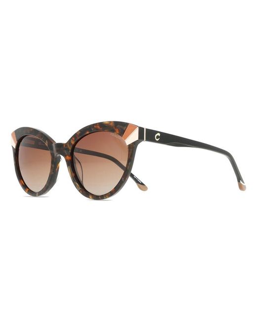 Champion Black Betty Polarized C01