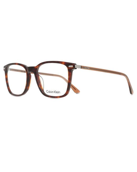 Calvin Klein Black Ck22541 235