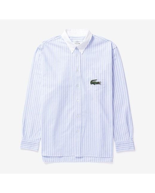 Lacoste Blue Stripe Maxi Croc Contrast Collar Shirt for men
