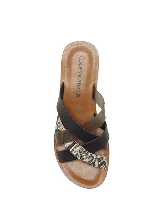 lucky brand hallisa