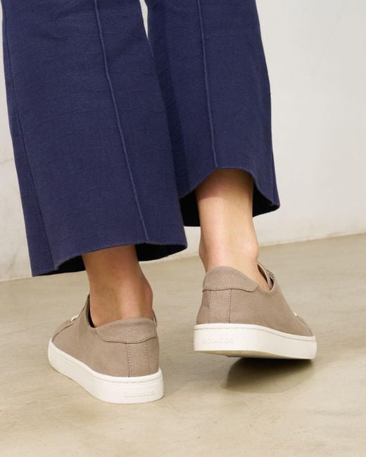 Soludos Blue Ibiza Canvas Sneaker | Cafe Taupe