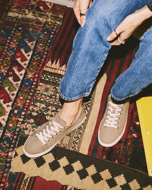 Soludos Blue Ibiza Canvas Sneaker | Cafe Taupe