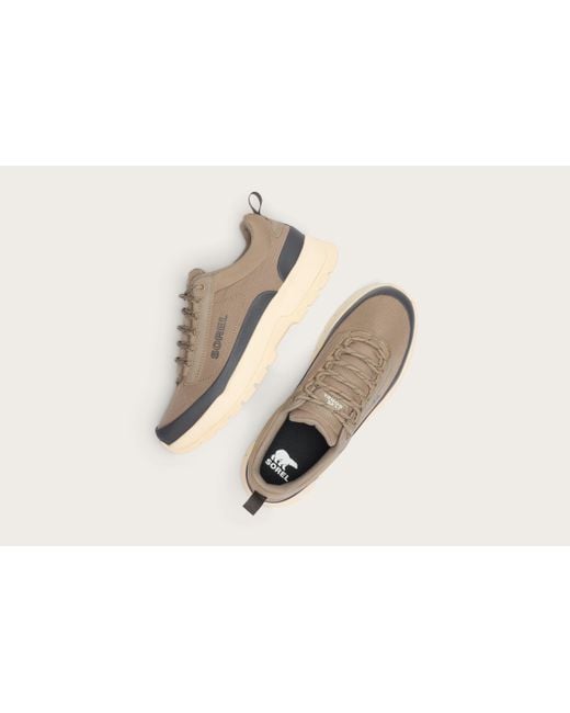 Sorel Outing Nw Low Sneaker in Brown für Herren