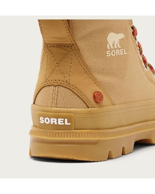 Sorel Brown Scout N About Mid Sneaker