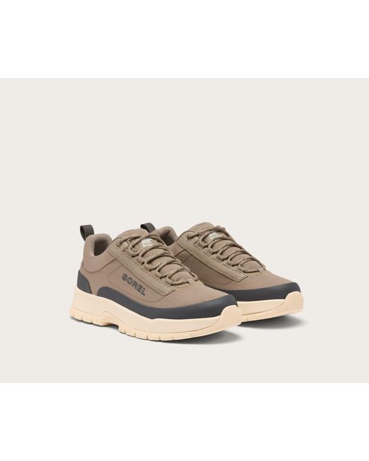 Sorel Outing Nw Low Sneaker in Brown für Herren