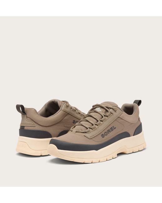 Sorel Outing Nw Low Sneaker in Brown für Herren
