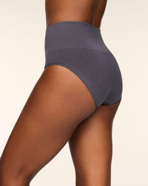 Spanx Blue Shape Extraordinary Supima Cotton Brief