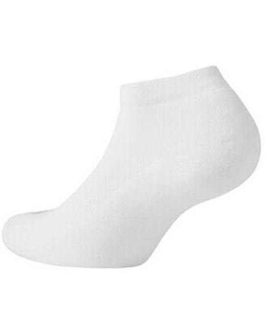 Chaussette scholl homme new arrivals