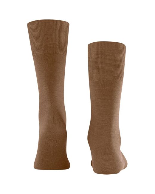 Falke Socks Airport Sok Camel in het Brown voor heren