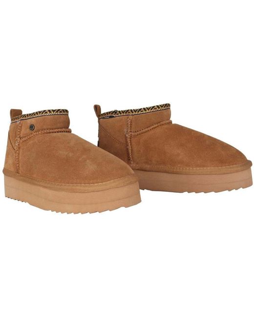 Bottines Durack Warmbat en coloris Brown