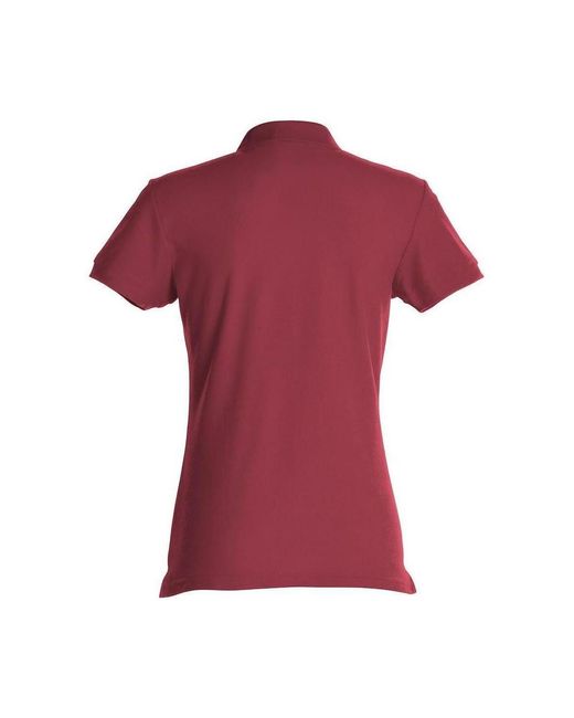 Polo Basic C-Clique en coloris Purple