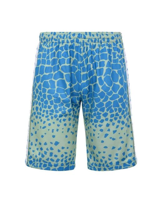 Kappa Korte Broek 371D2Hw_Banda_Saio_Graphik in het Blue voor heren