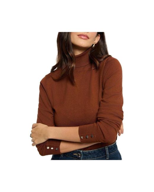 Pull MFLORIA Morgan en coloris Brown