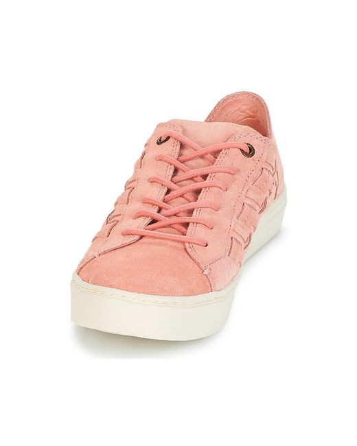 TOMS Pink Sneaker LENOX
