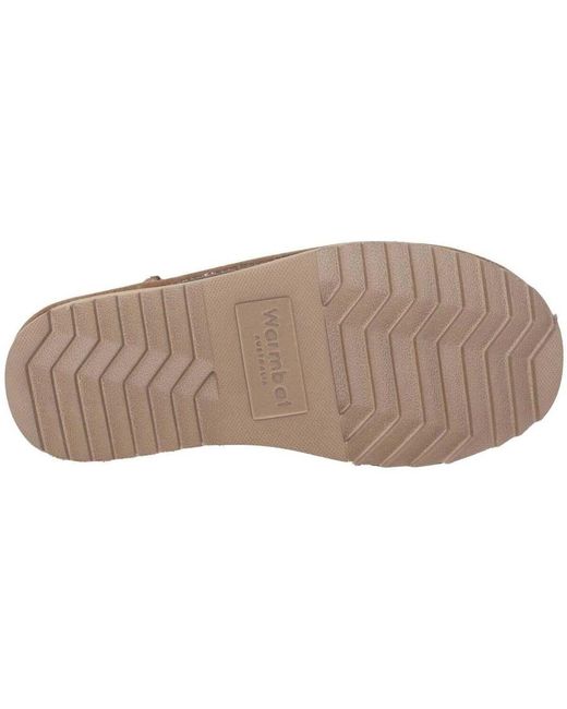 Bottines Durack Warmbat en coloris Brown