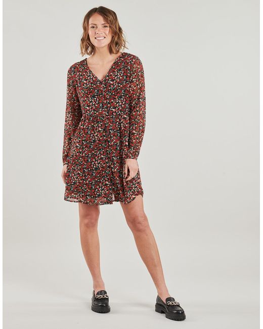 Robe Courte Onlagnes ONLY en coloris Brown