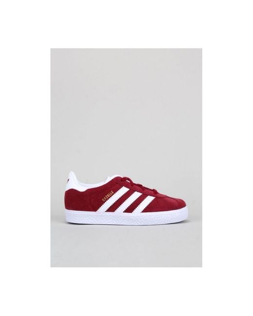 zx 930 heren nederland