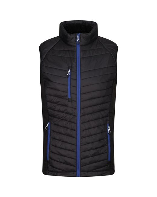 Blouson Rg9422 Regatta pour homme en coloris Blue